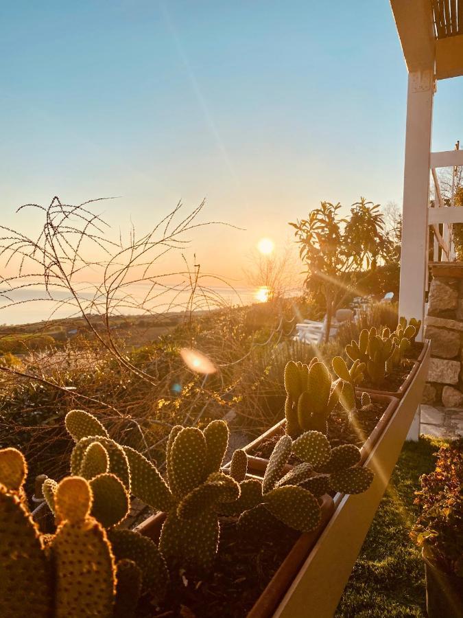 Residenza B&B Vistamare Petacciato Bagian luar foto