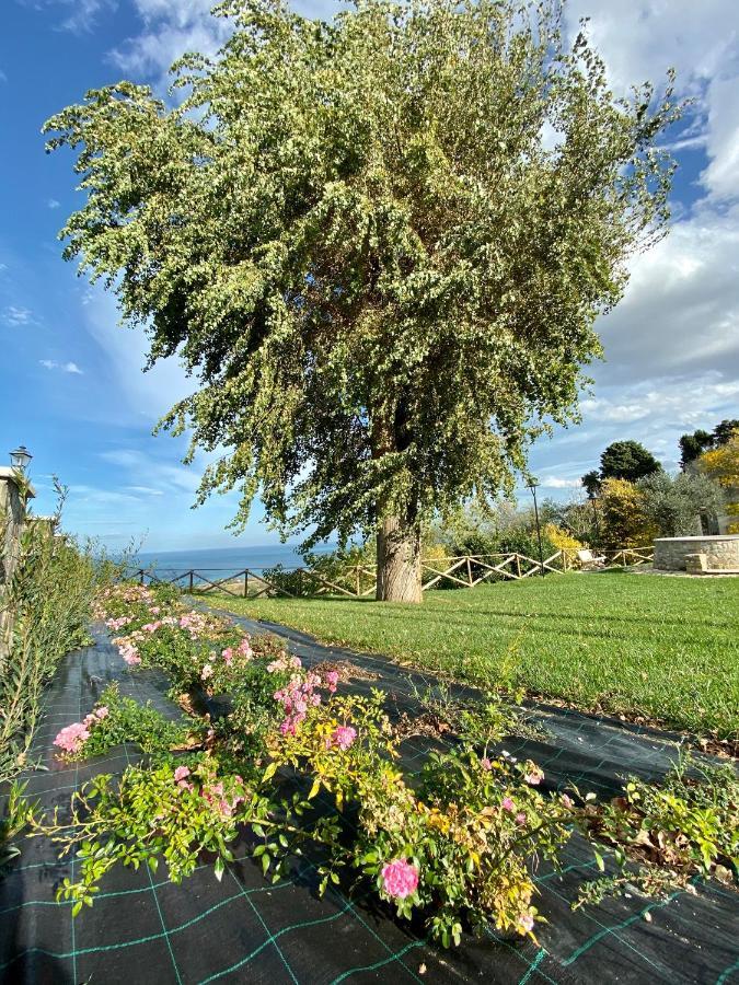 Residenza B&B Vistamare Petacciato Bagian luar foto